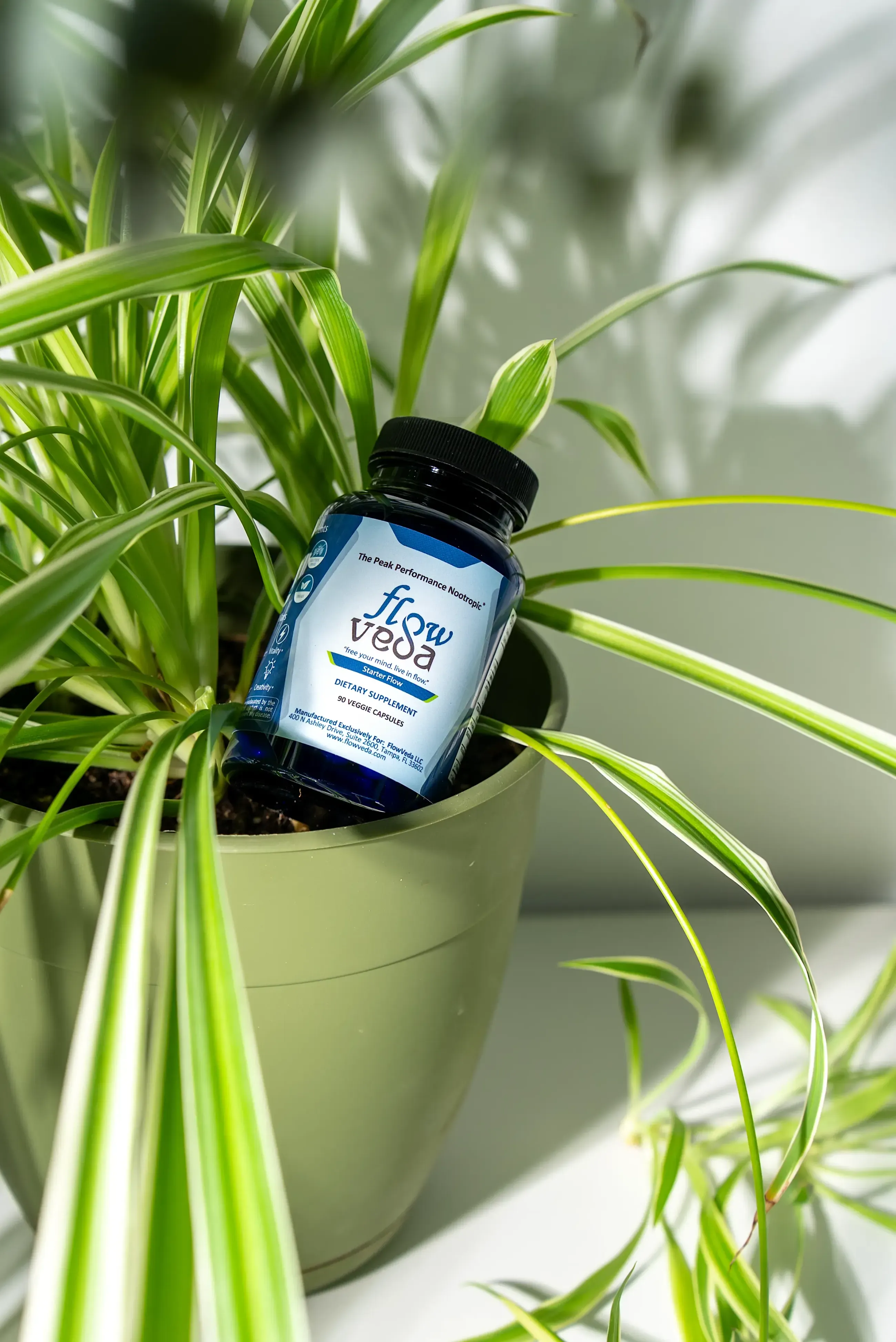 FlowVeda bottle in a meditative product still