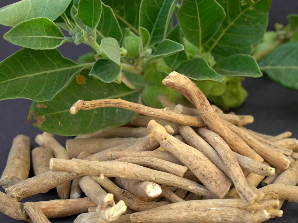 KSM-66® Ashwagandha