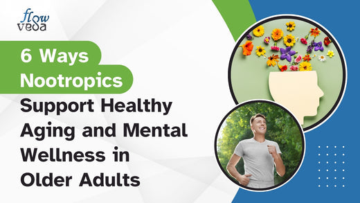 6 Ways Nootropics Support Healthy Aging and Mental Wellness in Older Adults