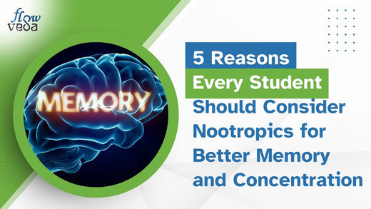 5 Reasons Every Student Should Consider Nootropics for Better Memory and Concentration