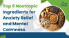 Top 5 Nootropic Ingredients for Anxiety Relief and Mental Calmness thumbnail