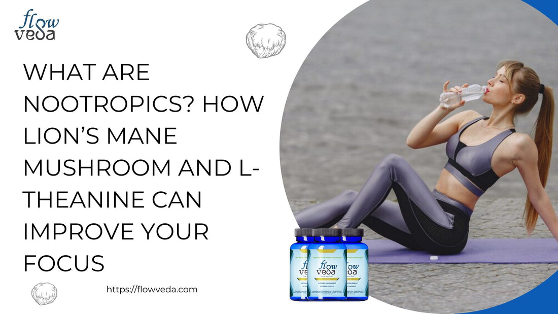 What Are Nootropics? How Lion’s Mane Mushroom and L-theanine Can Improve Your Focus