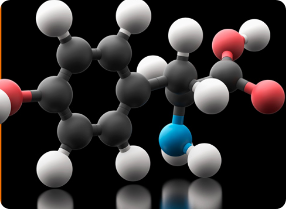 N-Acetyl L-Tyrosine (NALT)0