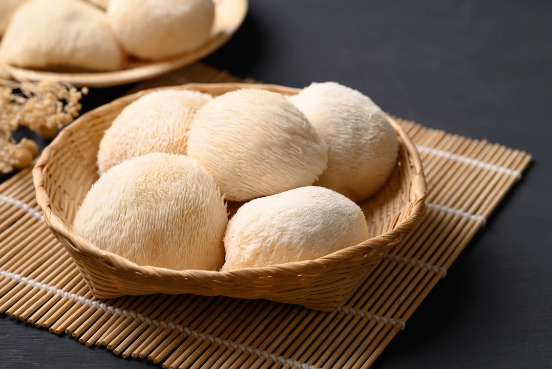 Lion's Mane Mushroom