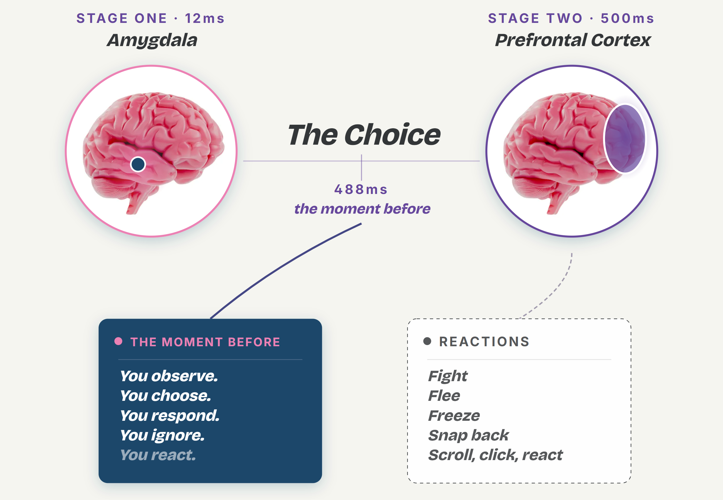Amygdala fires at 12 ms; 488 ms later the prefrontal cortex responds or reacts. The space between is the moment before, where the choice lives.