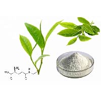 L-theanine is commonly thought of from tea leaves and is a key ingredient in FlowVeda's formula due to its sedative and relaxing beneftis, helping slow down the brain waves and support alpha, gamma and theta brain waves and transient hypofrontality, key conditions found in the relaxed, yet alert state of flow.