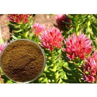 Rhodiola Rosea, or the golden root, is a critical ingredient in FlowVeda due to its enhancements in endurance, productivity, resistance to stress and other adaptogenic properties.